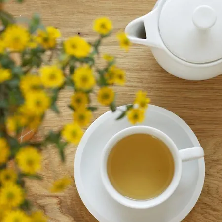 Haus Sonneck マンダーシャイト