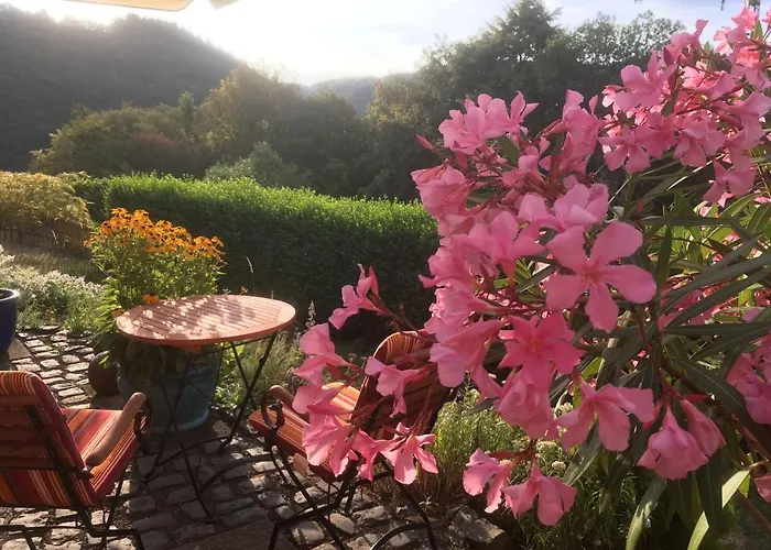 Πανσιόν Haus Sonneck 4*