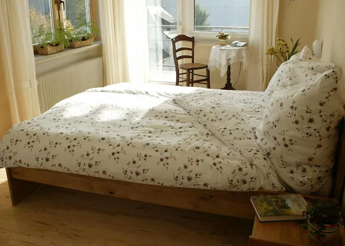 Πανσιόν Haus Sonneck 4*